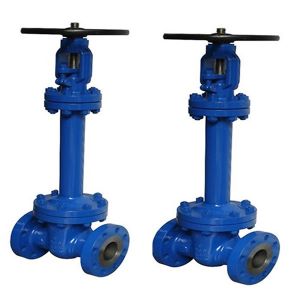 Cast steel gate valve