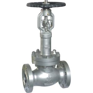 Cast steel globe valve