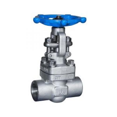 API 602 Forged steel globe valve