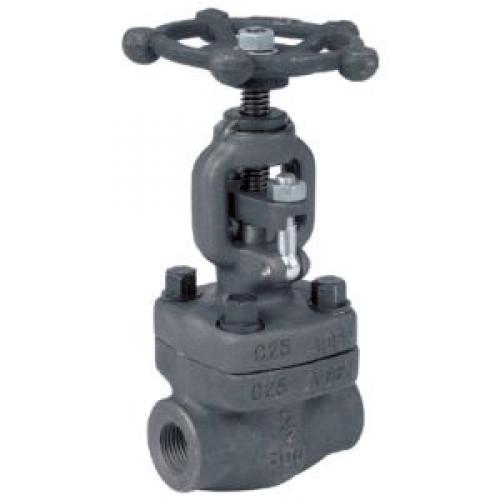 Forged Globe Valve 800LBS (Npt & Sw Ends)