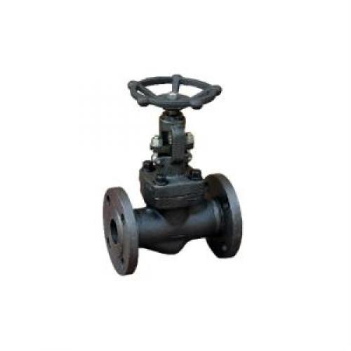 Flanged & Bw Ends Forged Globe Valve 150LBS - 2500LBS