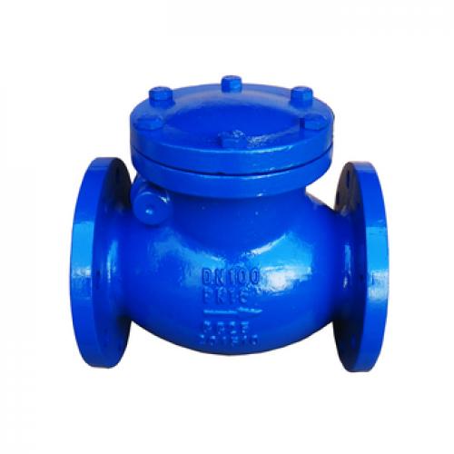 Cast Iron Swing Check Valve (BS5153) 