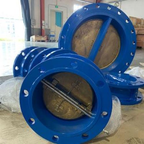 Flanged Dual Plate Wafer Check Valve