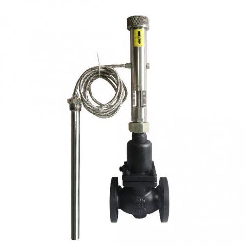 ZZWP Self Actuated Temperature Control Valve ZZWP Self Actuated Temperature Control Valve